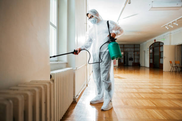 Best Residential Pest Control  in Del Aire, CA